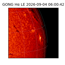 gong - 2026-09-04T06:00:42