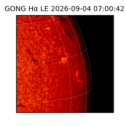 gong - 2026-09-04T07:00:42