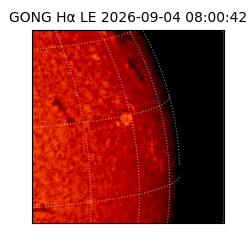 gong - 2026-09-04T08:00:42