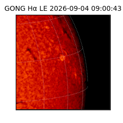 gong - 2026-09-04T09:00:43