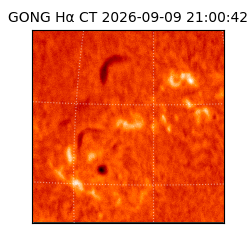 gong - 2026-09-09T21:00:42
