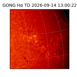 gong - 2026-09-14T13:00:22