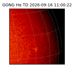 gong - 2026-09-16T11:00:22
