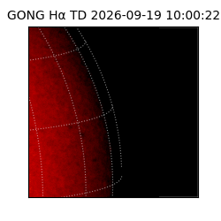gong - 2026-09-19T10:00:22