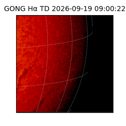 gong - 2026-09-19T09:00:22