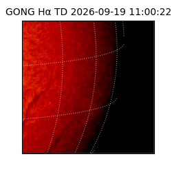 gong - 2026-09-19T11:00:22