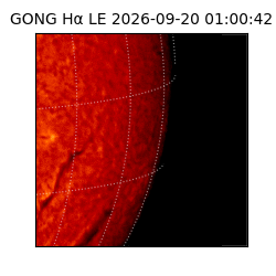 gong - 2026-09-20T01:00:42