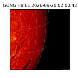 gong - 2026-09-20T02:00:42