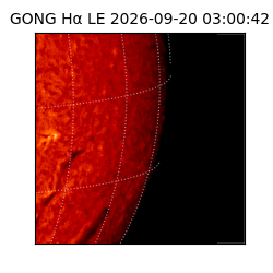 gong - 2026-09-20T03:00:42