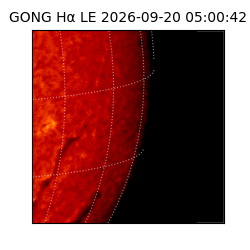 gong - 2026-09-20T05:00:42
