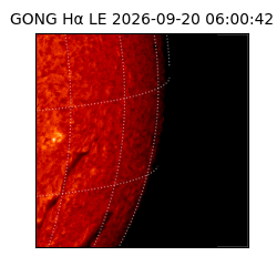 gong - 2026-09-20T06:00:42