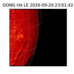 gong - 2026-09-20T23:01:42