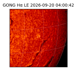gong - 2026-09-20T04:00:42