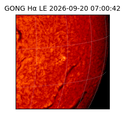 gong - 2026-09-20T07:00:42