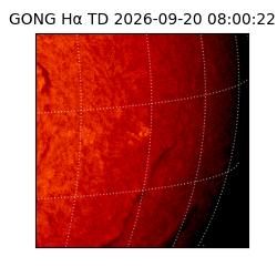 gong - 2026-09-20T08:00:22