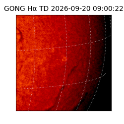 gong - 2026-09-20T09:00:22