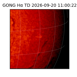 gong - 2026-09-20T11:00:22