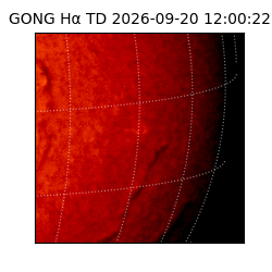 gong - 2026-09-20T12:00:22