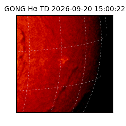 gong - 2026-09-20T15:00:22