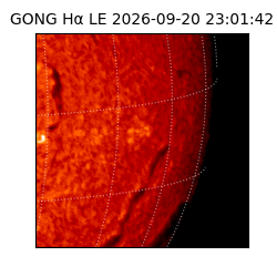 gong - 2026-09-20T23:01:42