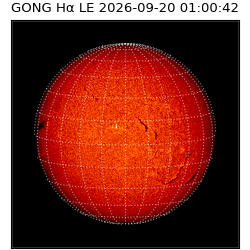 gong - 2026-09-20T01:00:42