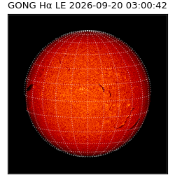 gong - 2026-09-20T03:00:42