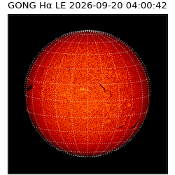 gong - 2026-09-20T04:00:42