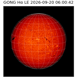 gong - 2026-09-20T06:00:42