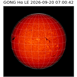 gong - 2026-09-20T07:00:42
