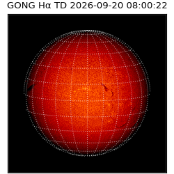 gong - 2026-09-20T08:00:22