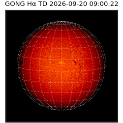 gong - 2026-09-20T09:00:22