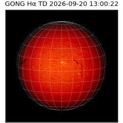 gong - 2026-09-20T13:00:22