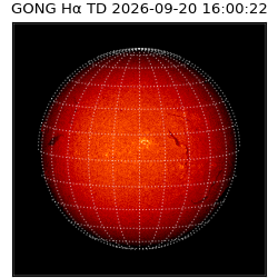 gong - 2026-09-20T16:00:22