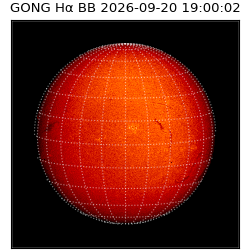 gong - 2026-09-20T19:00:02