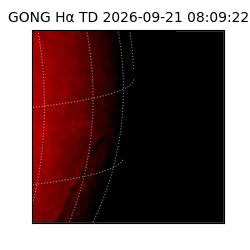 gong - 2026-09-21T08:09:22