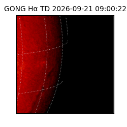 gong - 2026-09-21T09:00:22