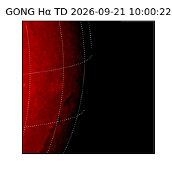 gong - 2026-09-21T10:00:22