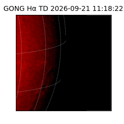 gong - 2026-09-21T11:18:22