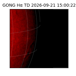 gong - 2026-09-21T15:00:22