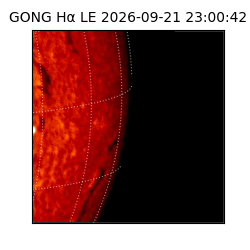 gong - 2026-09-21T23:00:42