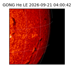 gong - 2026-09-21T04:00:42