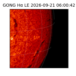 gong - 2026-09-21T06:00:42