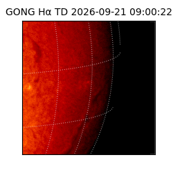 gong - 2026-09-21T09:00:22