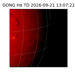 gong - 2026-09-21T13:07:22