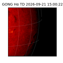 gong - 2026-09-21T15:00:22
