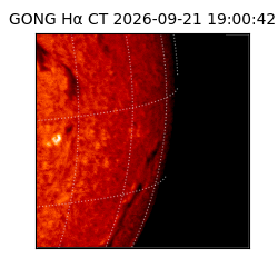gong - 2026-09-21T19:00:42