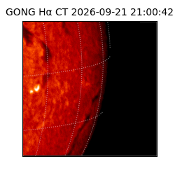 gong - 2026-09-21T21:00:42