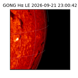 gong - 2026-09-21T23:00:42