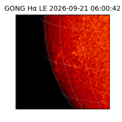gong - 2026-09-21T06:00:42