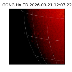 gong - 2026-09-21T12:07:22